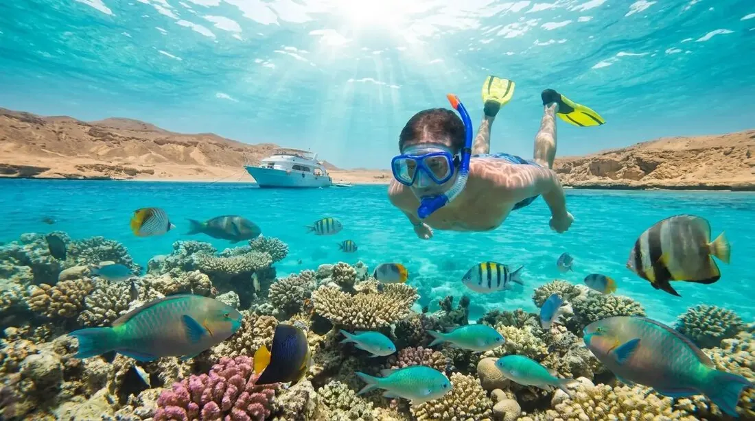 Snorkelling at Ras Mohammed